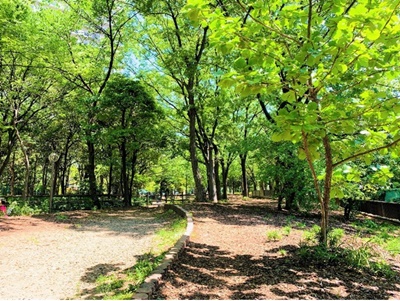 20190508_park.jpg