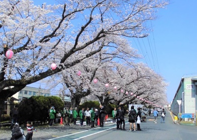 20190513_hino09.jpg