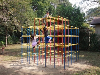 20190625_jungle.jpg