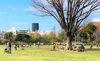 20200317_kiba01.jpg