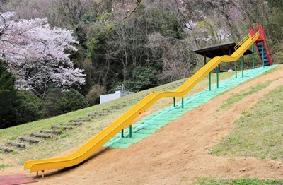 20200327_syamen03.jpg
