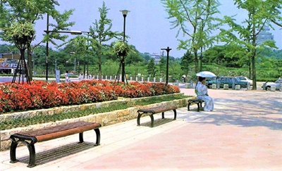 20200828_tatchibana04.jpg