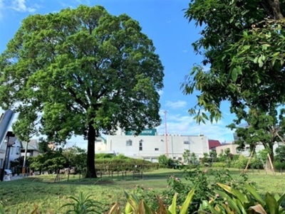 20200906_bosaikoen01.jpg