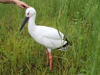 20201030_decoy01.jpg