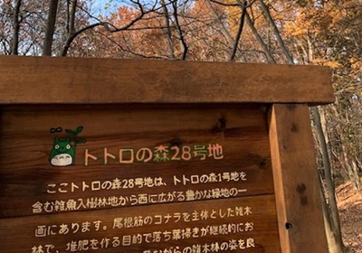 20210104_totoro01.jpg