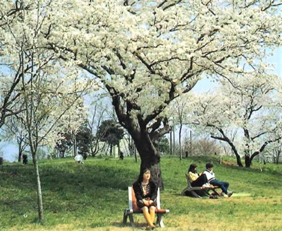 20210211_catalog02.jpg