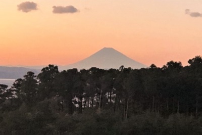 20210218_oshima08.jpg