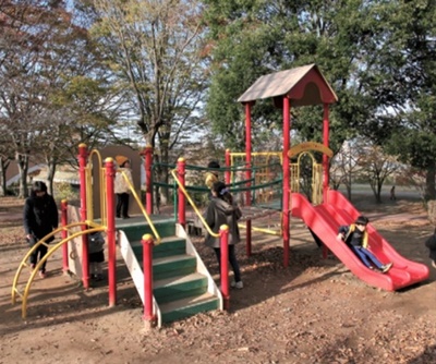 20210308_tom03.jpg