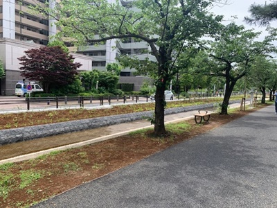 20210608_are01.jpg