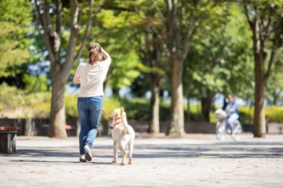 20210806_dog01.jpg