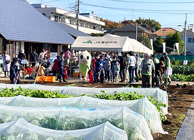 20221124_suginoko_01_400p.jpg
