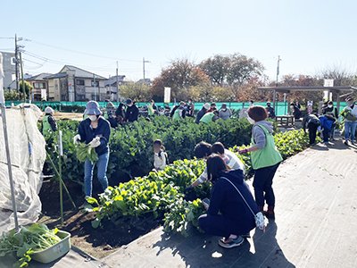 20221124_suginoko_02_400p.jpg