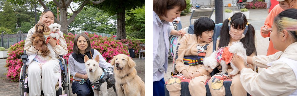 府中の森公園05_1000ｐ.jpg