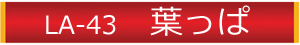 michikusa_name4.jpg
