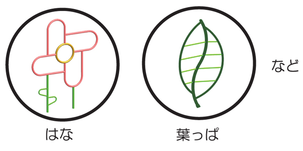 saikyo_pic2.jpg
