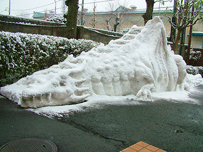 雪龍