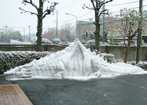 雪龍完成